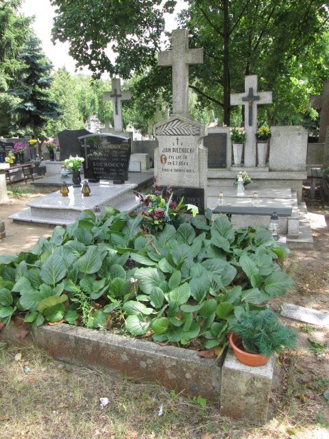 Jan Leon PIECHOCKI 1880 Włocławek 0965 - Grobonet - Wyszukiwarka osób pochowanych