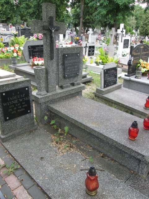 Tadeusz WIŚNIEWSKI 1946 Włocławek 0965 - Grobonet - Wyszukiwarka osób pochowanych