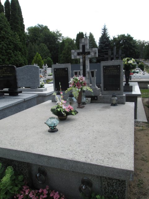 Jadwiga KOCIŃSKA 1912 Włocławek 0965 - Grobonet - Wyszukiwarka osób pochowanych