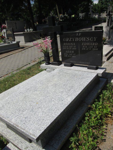 Regina GRZYBOWSKA 1903 Włocławek 0965 - Grobonet - Wyszukiwarka osób pochowanych