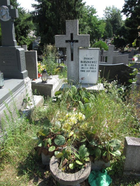 Zygmunt Zdzisław BŁASZKIEWICZ 1931 Włocławek 0965 - Grobonet - Wyszukiwarka osób pochowanych