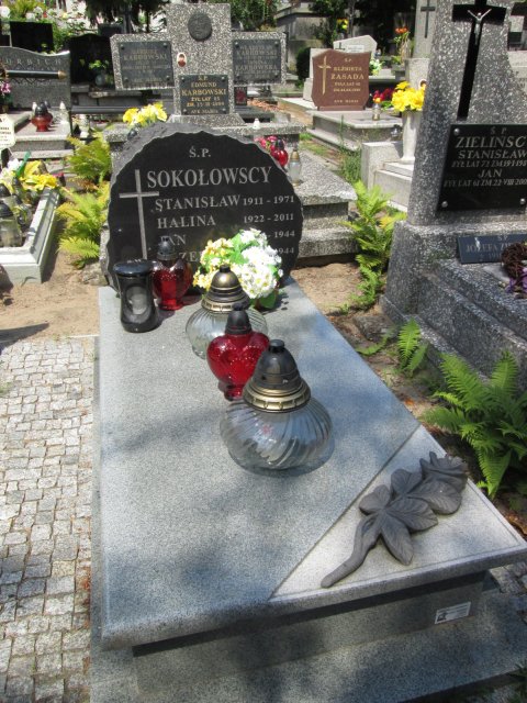 Józefa SOKOŁOWSKA 1880 Włocławek 0965 - Grobonet - Wyszukiwarka osób pochowanych