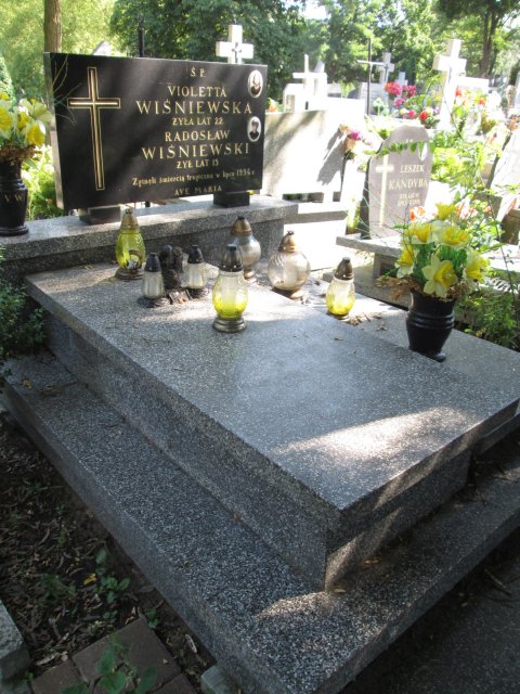 Violetta WIŚNIEWSKA 1972 Włocławek 0965 - Grobonet - Wyszukiwarka osób pochowanych