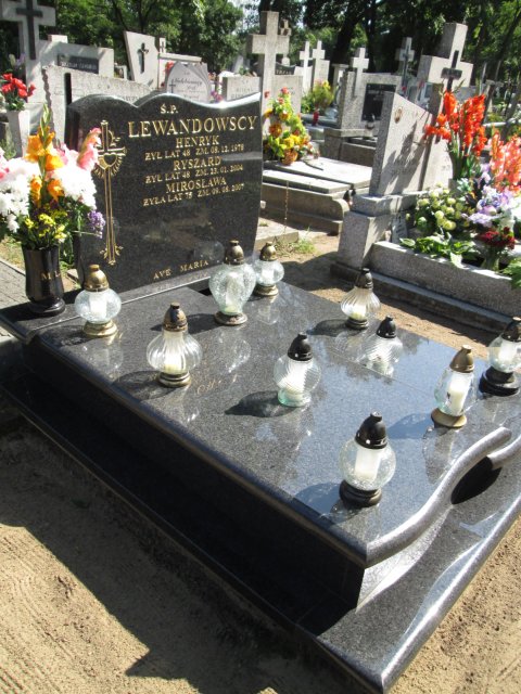 Henryk LEWANDOWSKI 1930 Włocławek 0965 - Grobonet - Wyszukiwarka osób pochowanych