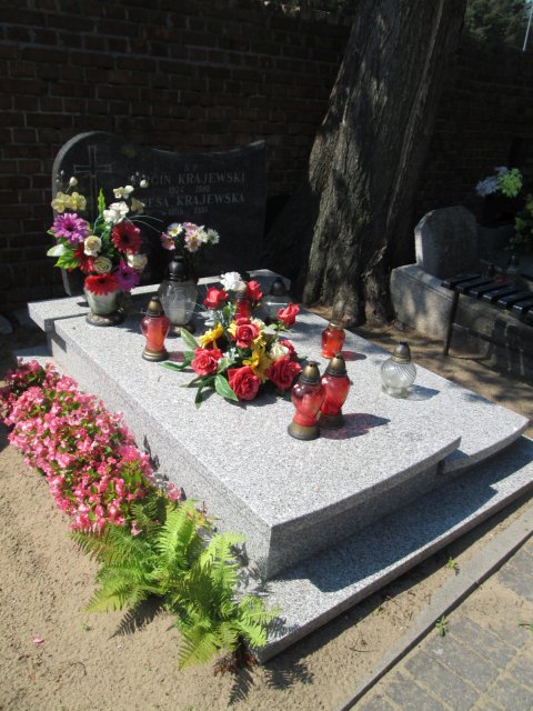 Zbigniew KRAJEWSKI 1952 Włocławek 0965 - Grobonet - Wyszukiwarka osób pochowanych