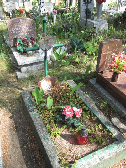  SAŁACIŃSKI 1949 Włocławek 0965 - Grobonet - Wyszukiwarka osób pochowanych