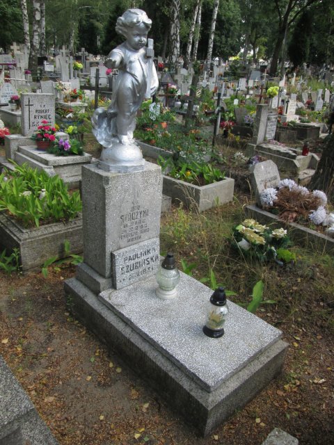 Józef STRÓŻYNA 1948 Włocławek 0965 - Grobonet - Wyszukiwarka osób pochowanych