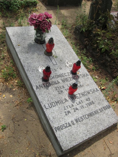 Antonina WIĘZNOWSKA 1886 Włocławek 0965 - Grobonet - Wyszukiwarka osób pochowanych