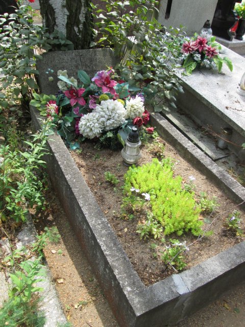 Marianna JANISZEWSKA 1876 Włocławek 0965 - Grobonet - Wyszukiwarka osób pochowanych