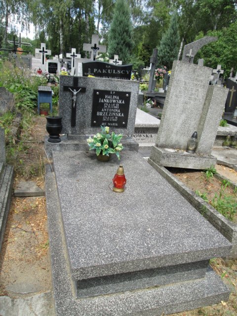 Jerzy BEDNAREK 1948 Włocławek 0965 - Grobonet - Wyszukiwarka osób pochowanych