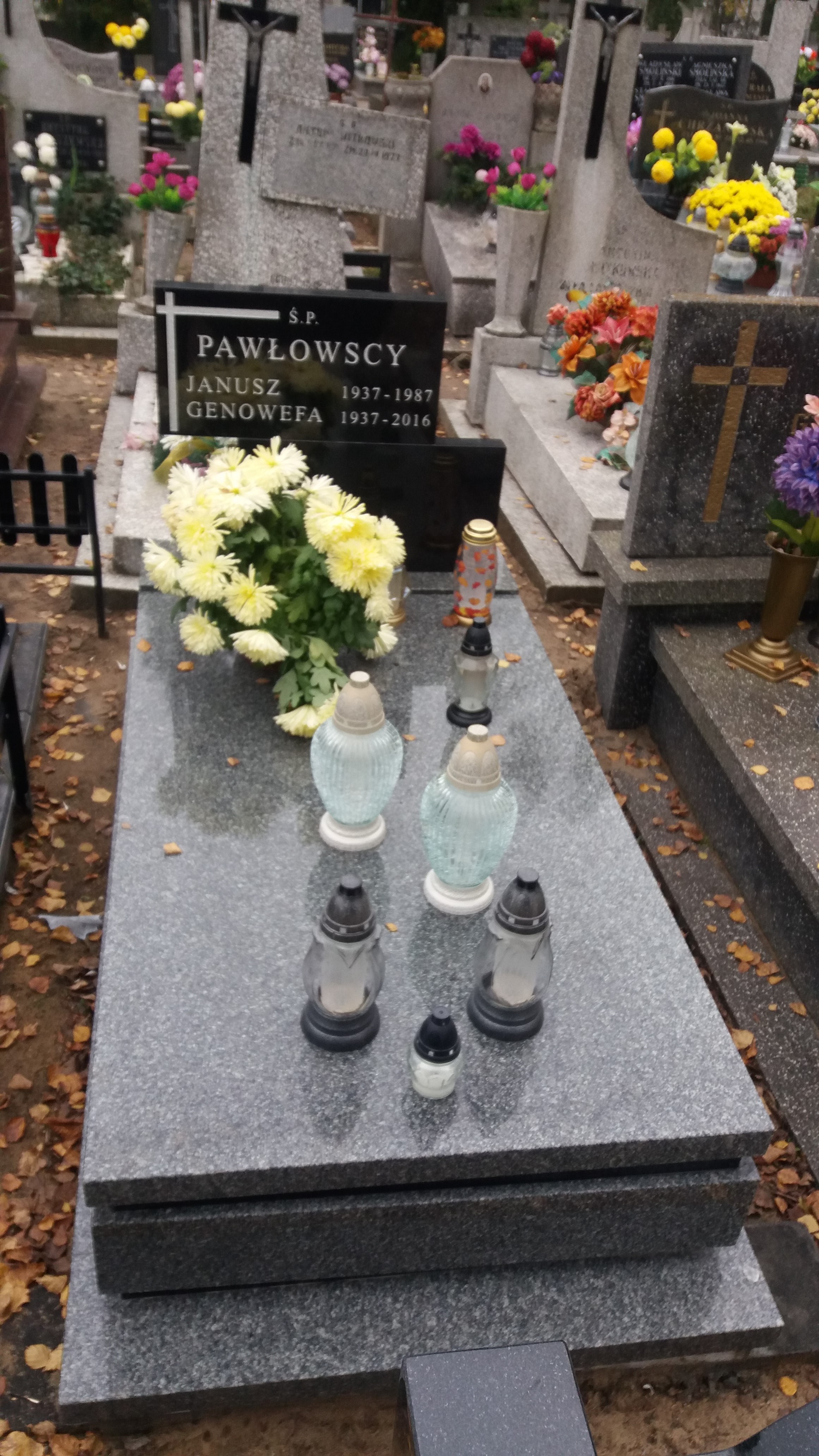 Janusz PAWŁOWSKI 1937 Włocławek 0965 - Grobonet - Wyszukiwarka osób pochowanych