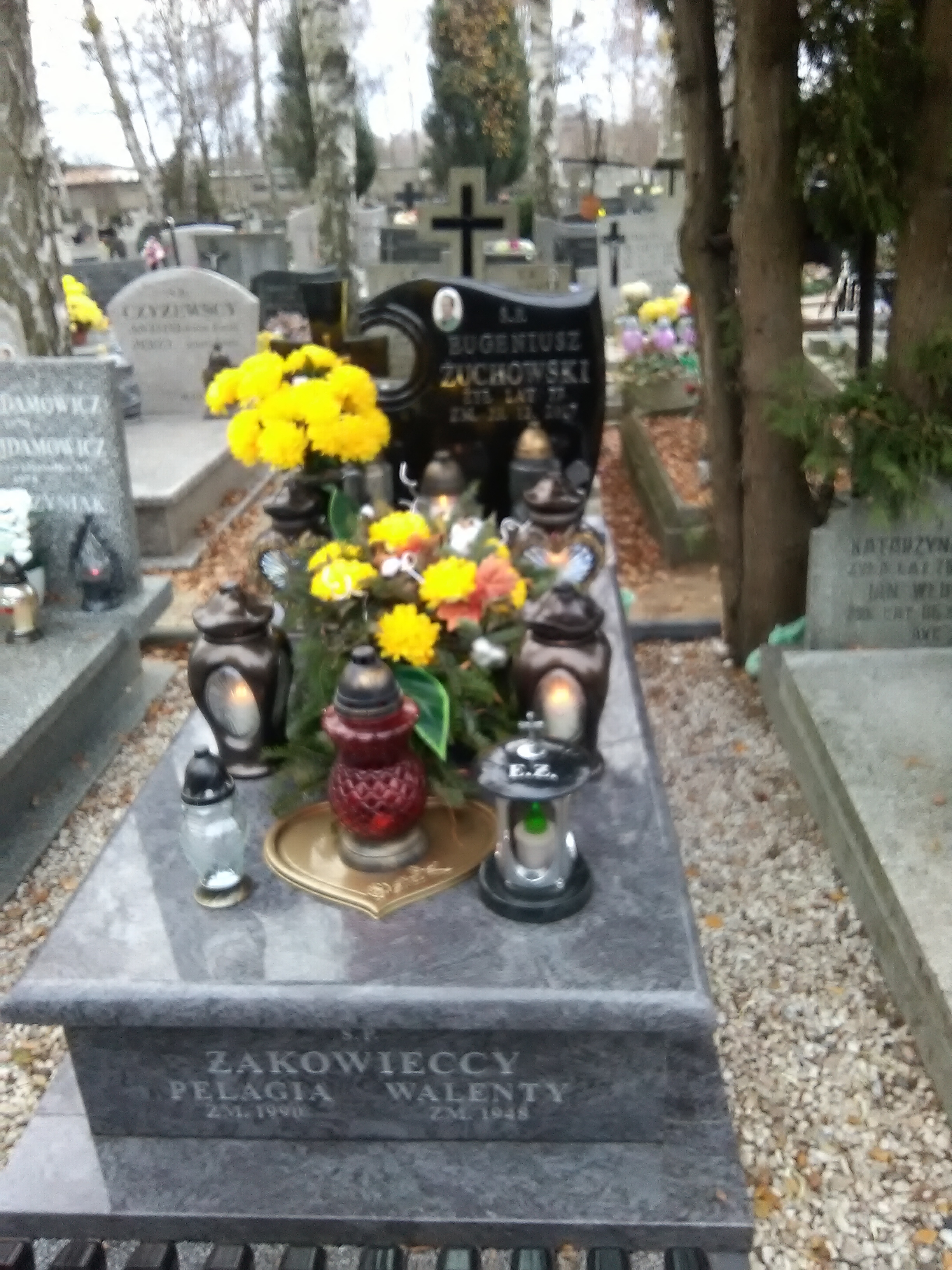 Eugeniusz ŻUCHOWSKI 1940 Włocławek 0965 - Grobonet - Wyszukiwarka osób pochowanych