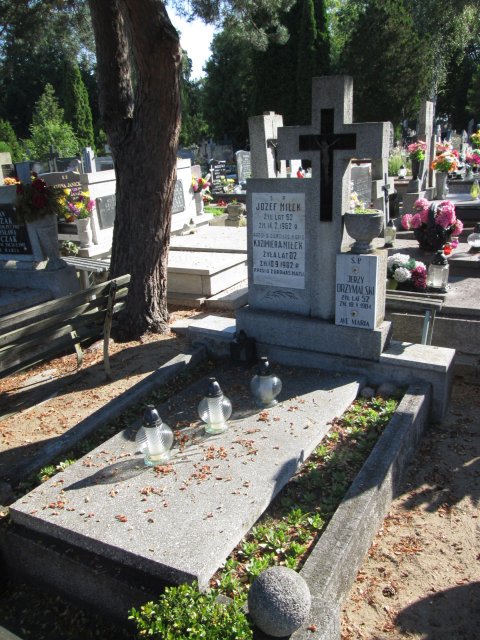 Józef MIŁEK 1900 Włocławek 0965 - Grobonet - Wyszukiwarka osób pochowanych