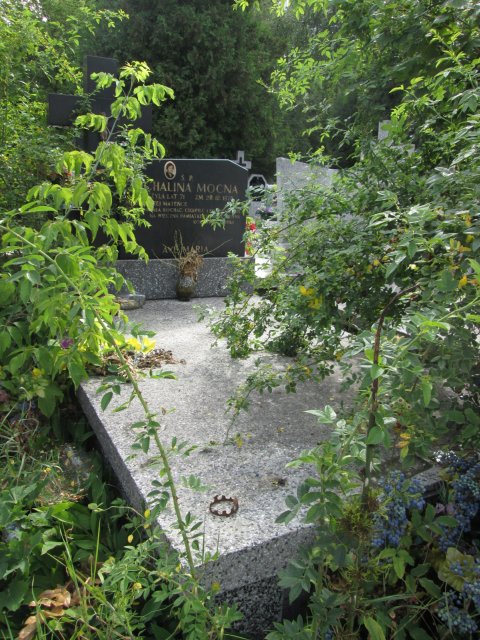 Lucyna MOCNA 1933 Włocławek 0965 - Grobonet - Wyszukiwarka osób pochowanych