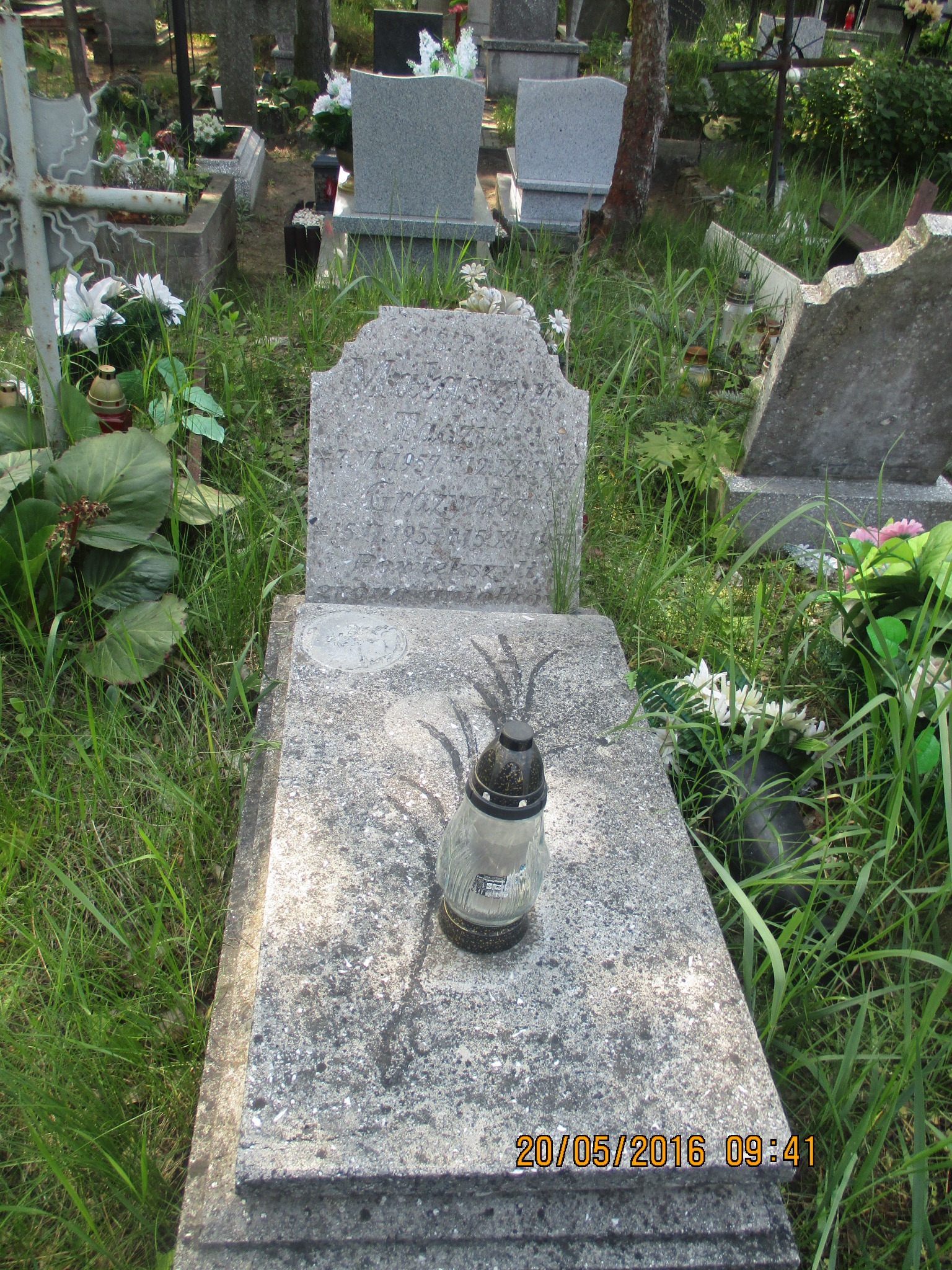 Grażyna WASIELEWSKA 1955 Włocławek 0965 - Grobonet - Wyszukiwarka osób pochowanych