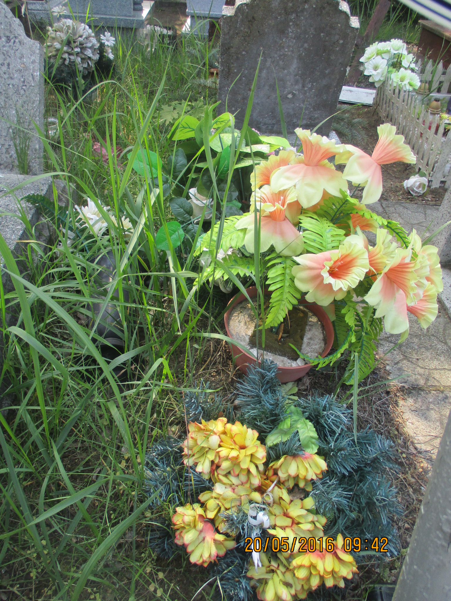 KRYSTYNA ELŻBIETA SOCHA 1955 Włocławek 0965 - Grobonet - Wyszukiwarka osób pochowanych