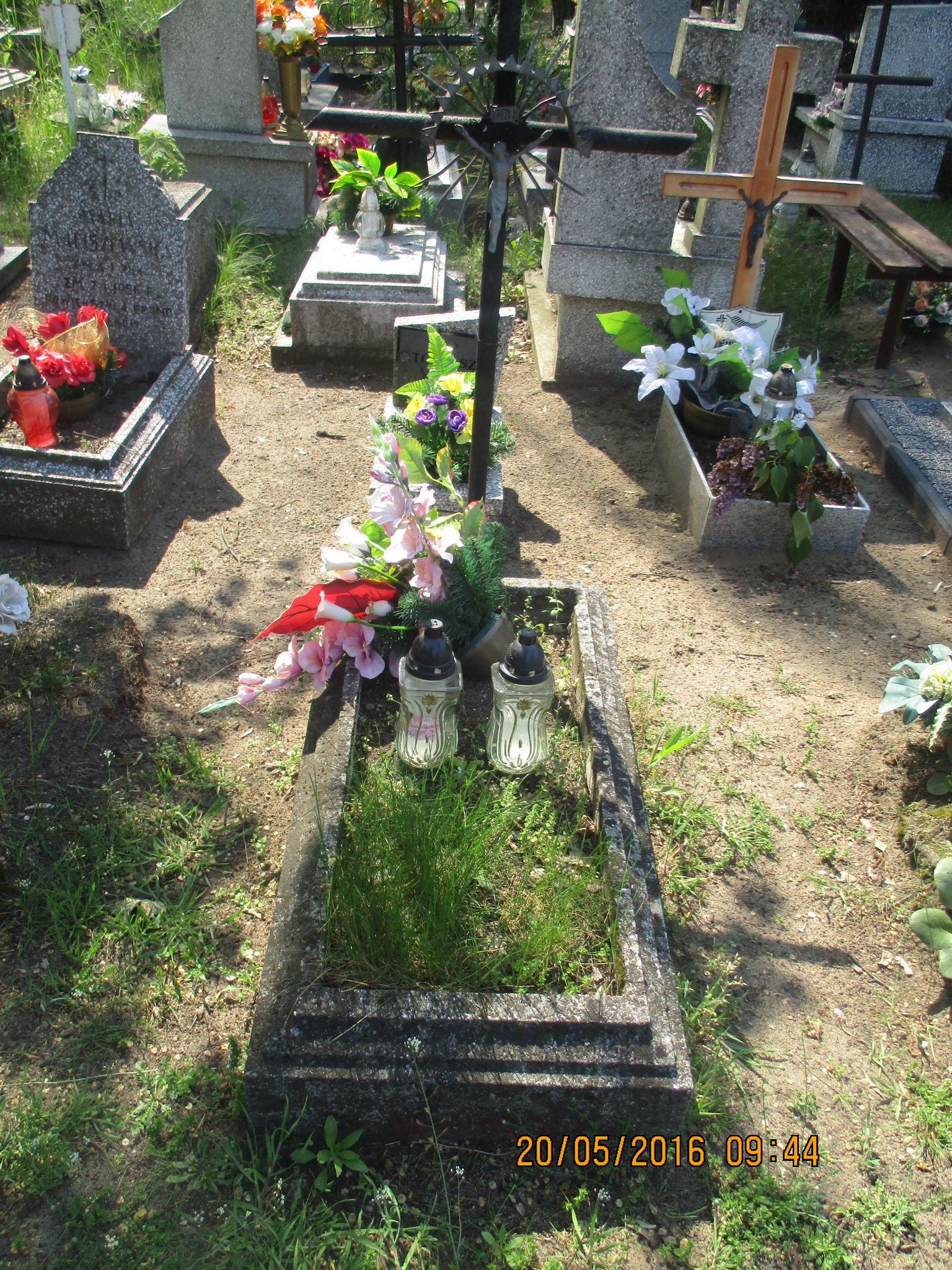 Janusz WOJCIECHOWSKI 1955 Włocławek 0965 - Grobonet - Wyszukiwarka osób pochowanych