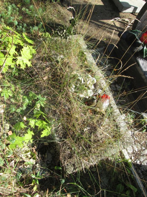 Tonia RAKOCA 1953 Włocławek 0965 - Grobonet - Wyszukiwarka osób pochowanych