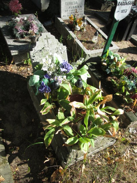 Janina POGORZELSKA 1952 Włocławek 0965 - Grobonet - Wyszukiwarka osób pochowanych