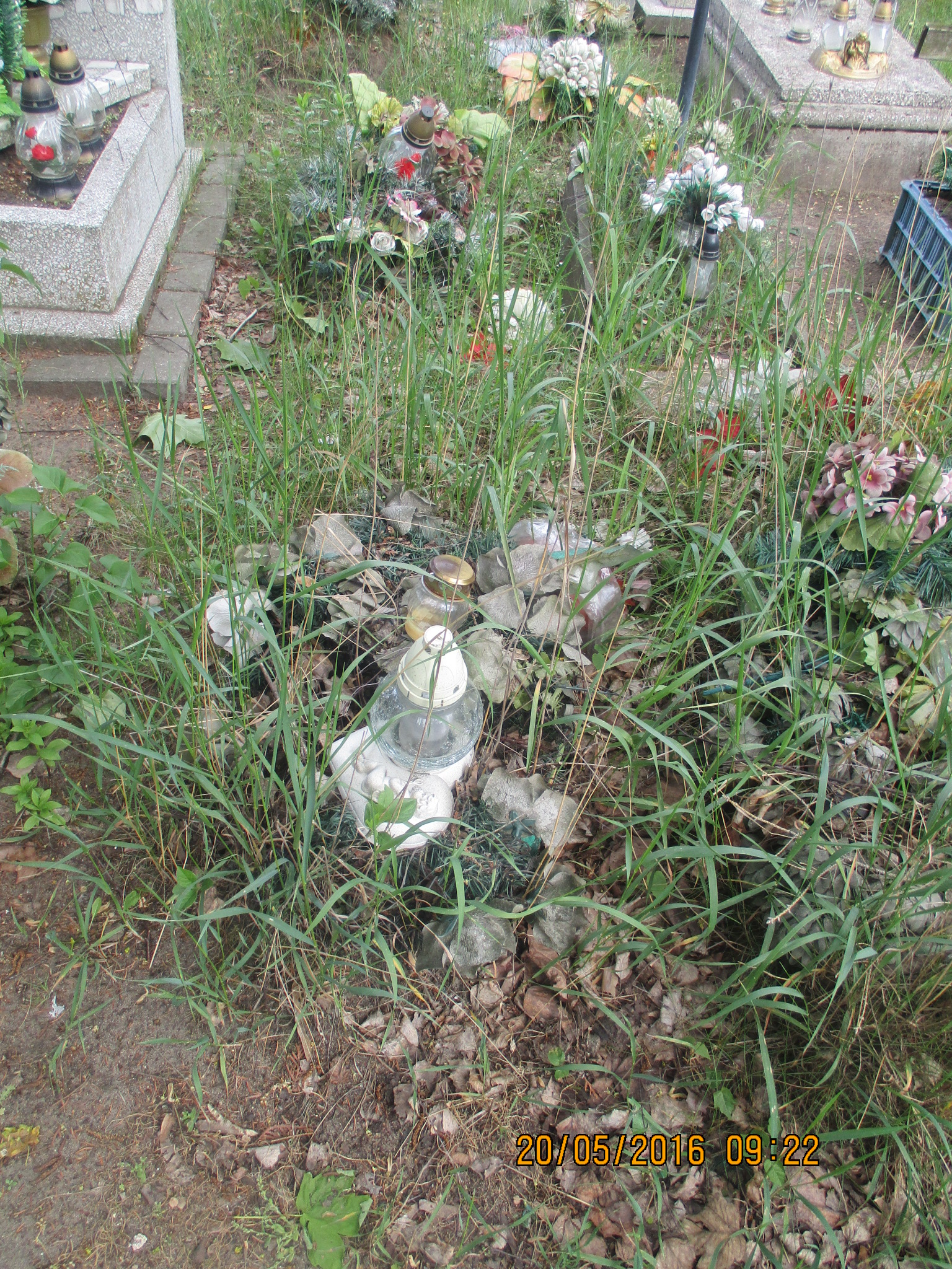 Leszek ŁAZIŃSKI 1954 Włocławek 0965 - Grobonet - Wyszukiwarka osób pochowanych