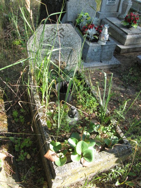 Krystyna KRĘGIEL 1954 Włocławek 0965 - Grobonet - Wyszukiwarka osób pochowanych