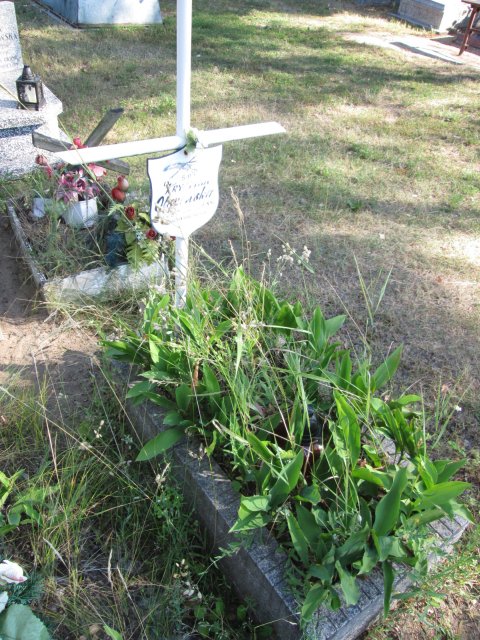 Krystyna OLSZEWSKA 1954 Włocławek 0965 - Grobonet - Wyszukiwarka osób pochowanych