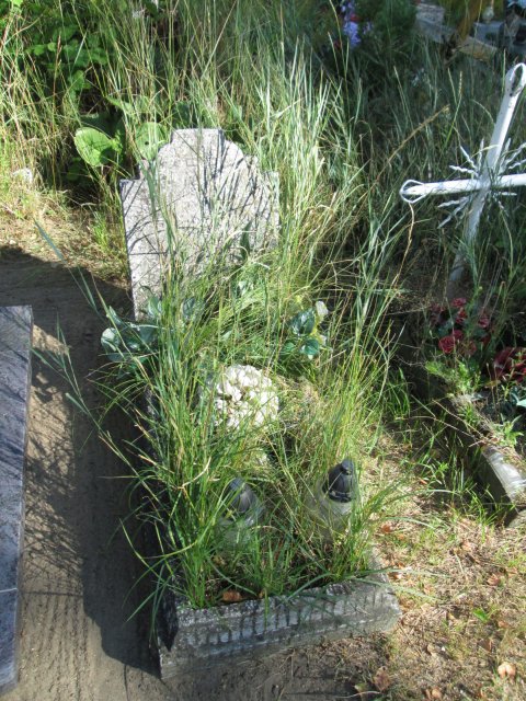 Ryszard Adam FABISZEWSKI 1956 Włocławek 0965 - Grobonet - Wyszukiwarka osób pochowanych