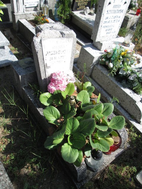 Izabela PACZKOWSKA 1969 Włocławek 0965 - Grobonet - Wyszukiwarka osób pochowanych