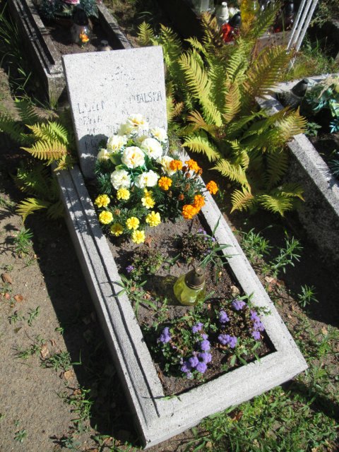 Bożena MICHALSKA 1957 Włocławek 0965 - Grobonet - Wyszukiwarka osób pochowanych