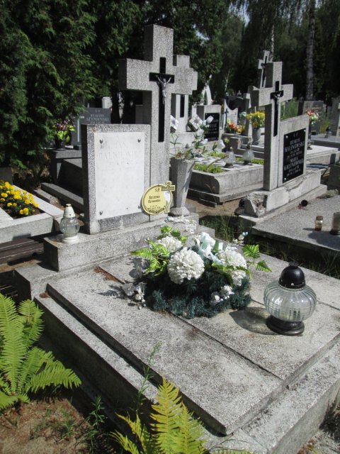 Szczepan SZYMAŃSKI 1915 Włocławek 0965 - Grobonet - Wyszukiwarka osób pochowanych