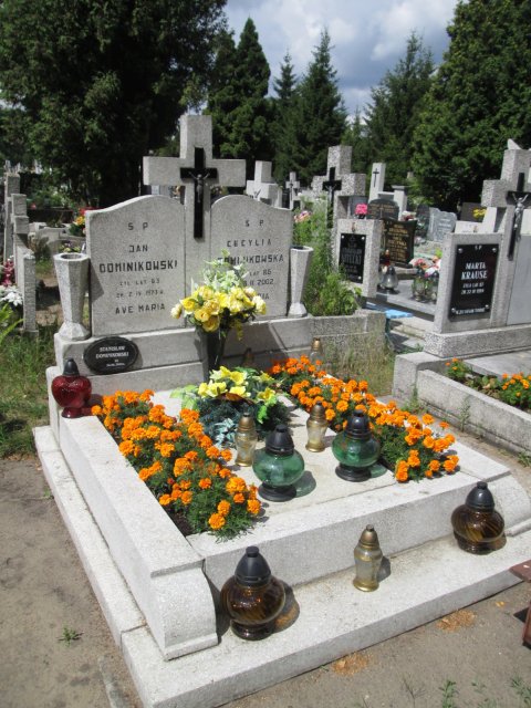 Stanisław DOMINIKOWSKI 1936 Włocławek 0965 - Grobonet - Wyszukiwarka osób pochowanych