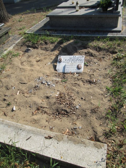 Józefa ĆWIKLIŃSKA 1870 Włocławek 0965 - Grobonet - Wyszukiwarka osób pochowanych