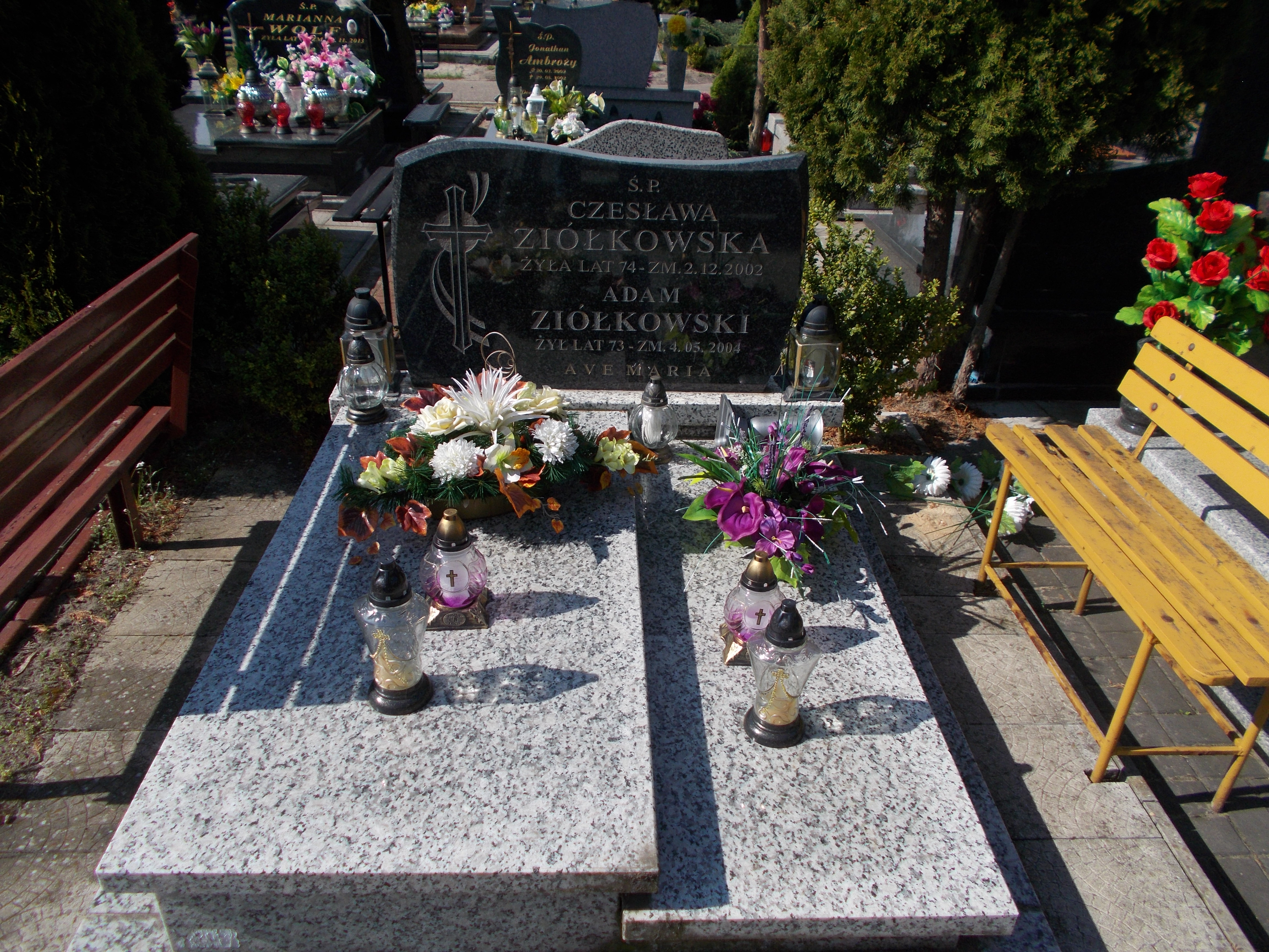 Adam ZIÓŁKOWSKI 1932 Włocławek 0965 - Grobonet - Wyszukiwarka osób pochowanych