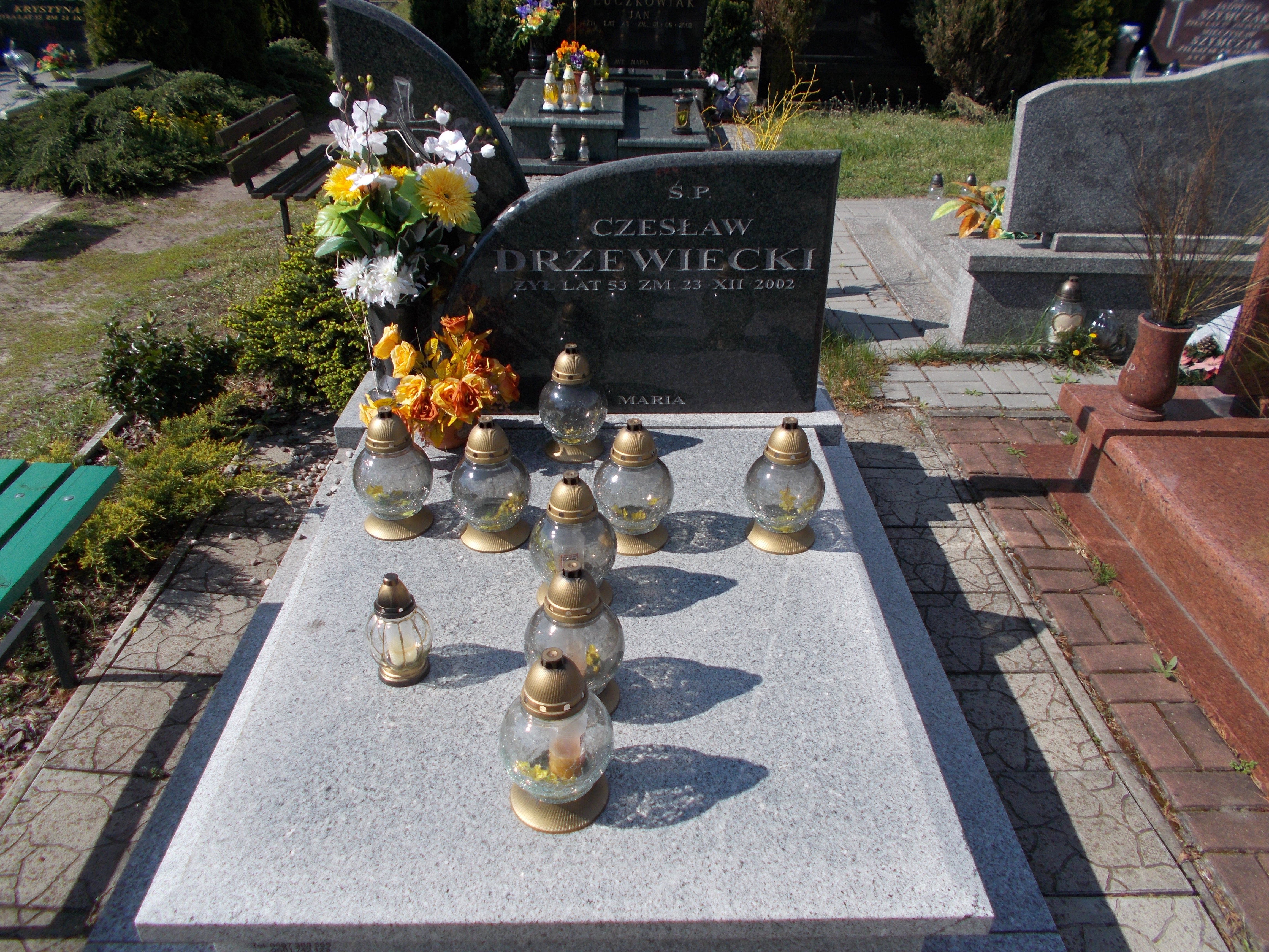 Elżbieta DRZEWIECKA-ZASOWSKA 1952 Włocławek 0965 - Grobonet - Wyszukiwarka osób pochowanych