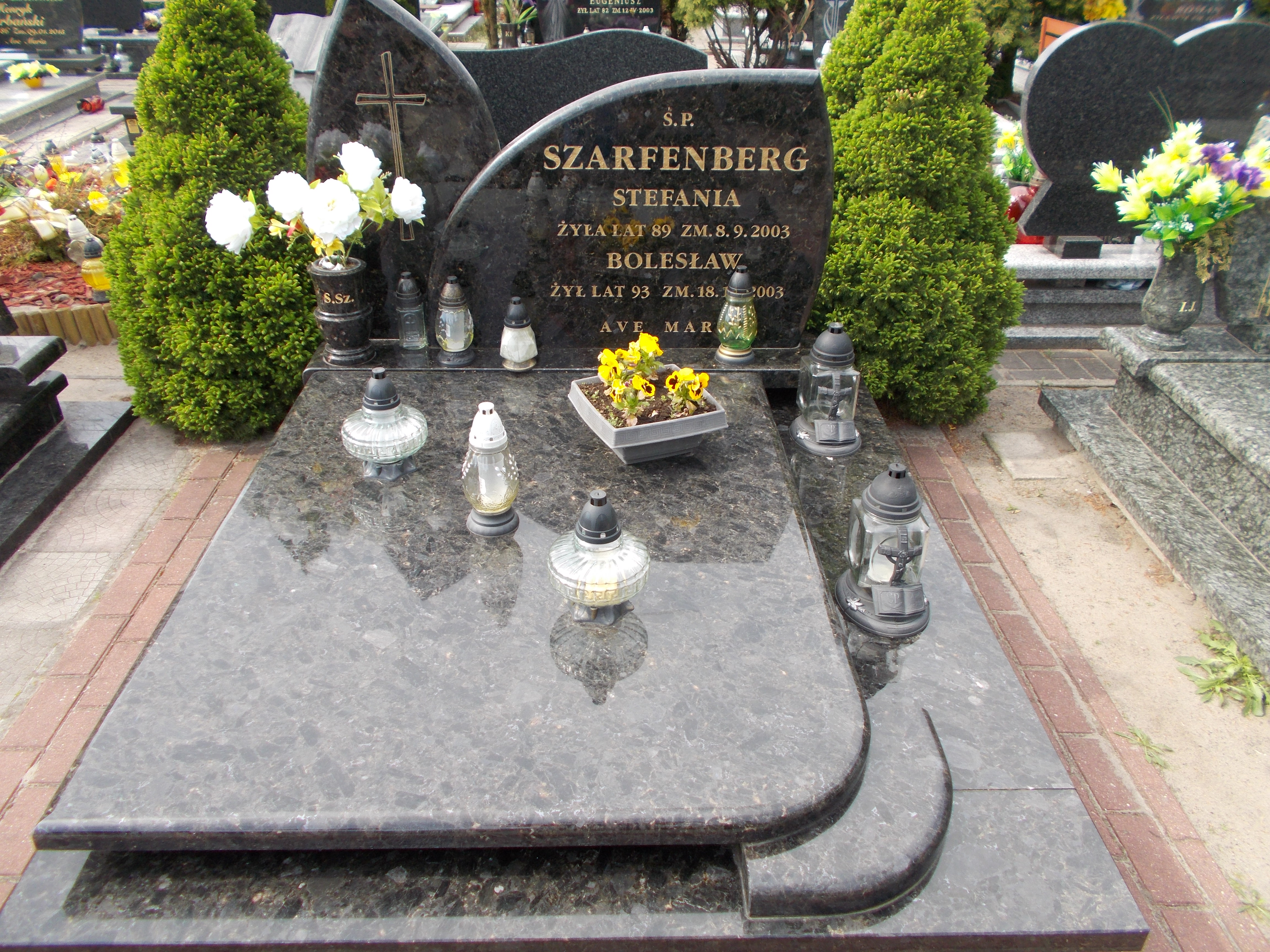 Marian SZARFENBERG 1950 Włocławek 0965 - Grobonet - Wyszukiwarka osób pochowanych