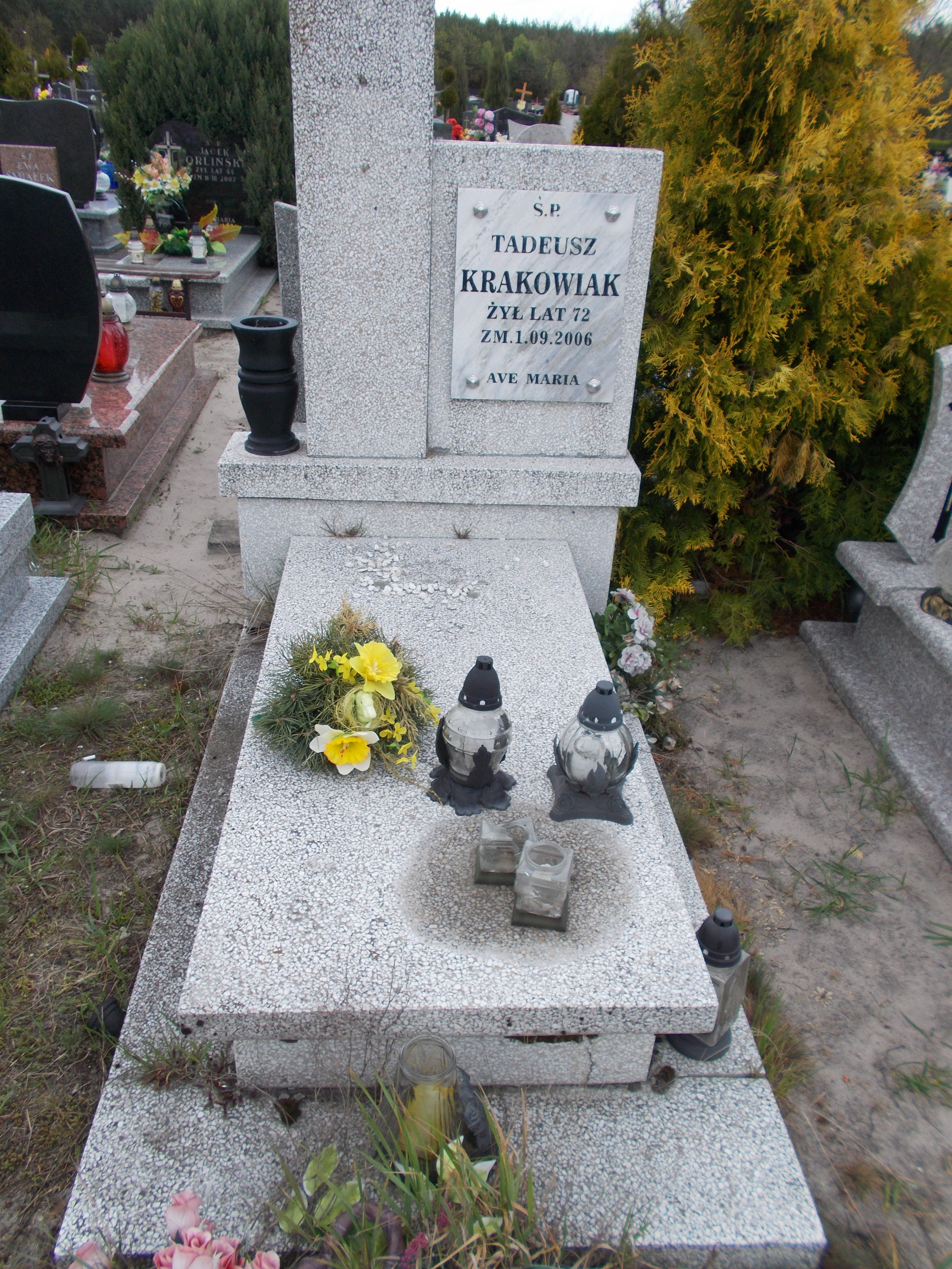 Tadeusz KRAKOWIAK 1934 Włocławek 0965 - Grobonet - Wyszukiwarka osób pochowanych