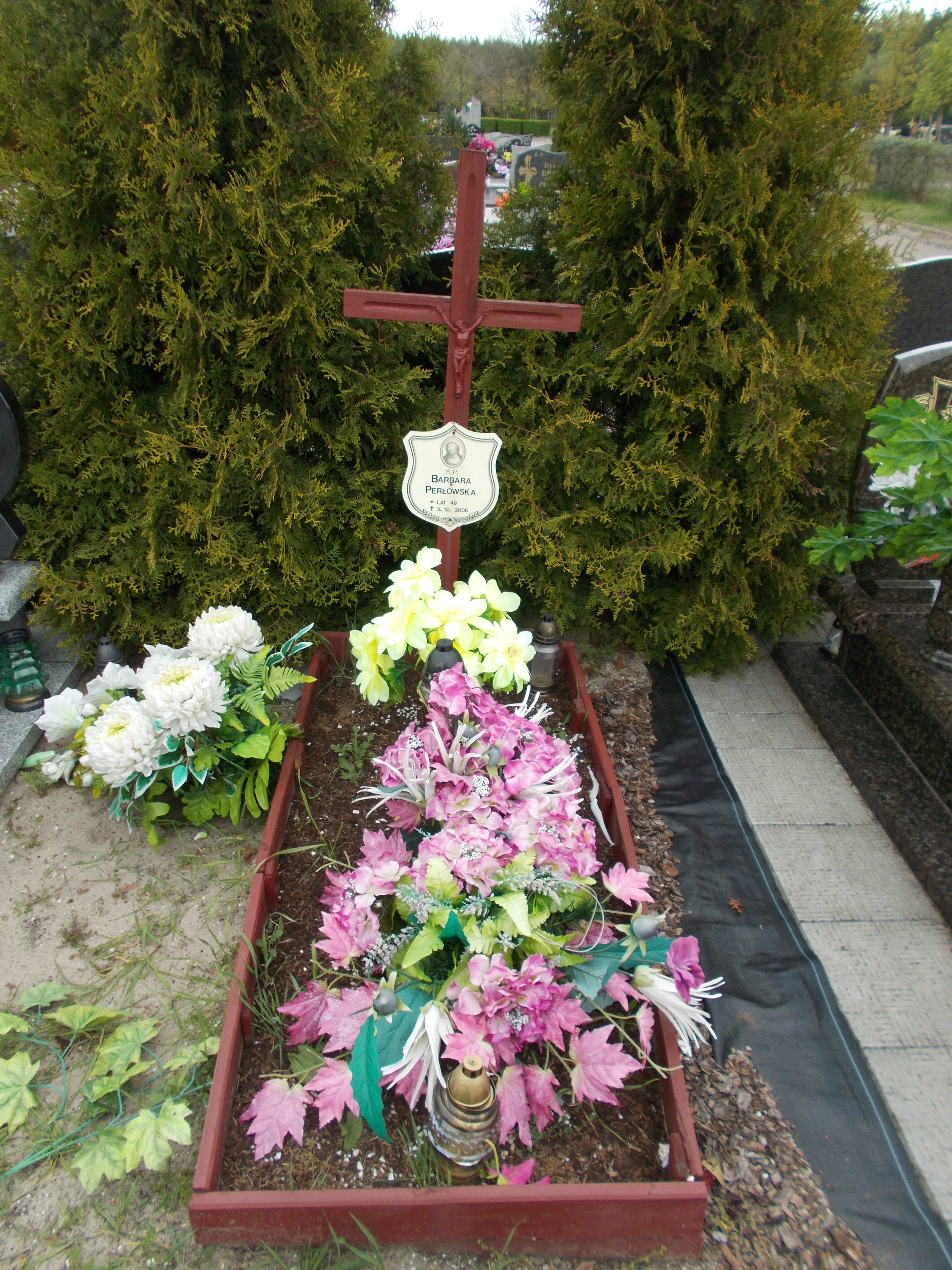 Tomasz Krychowiak 1976 Włocławek 0965 - Grobonet - Wyszukiwarka osób pochowanych