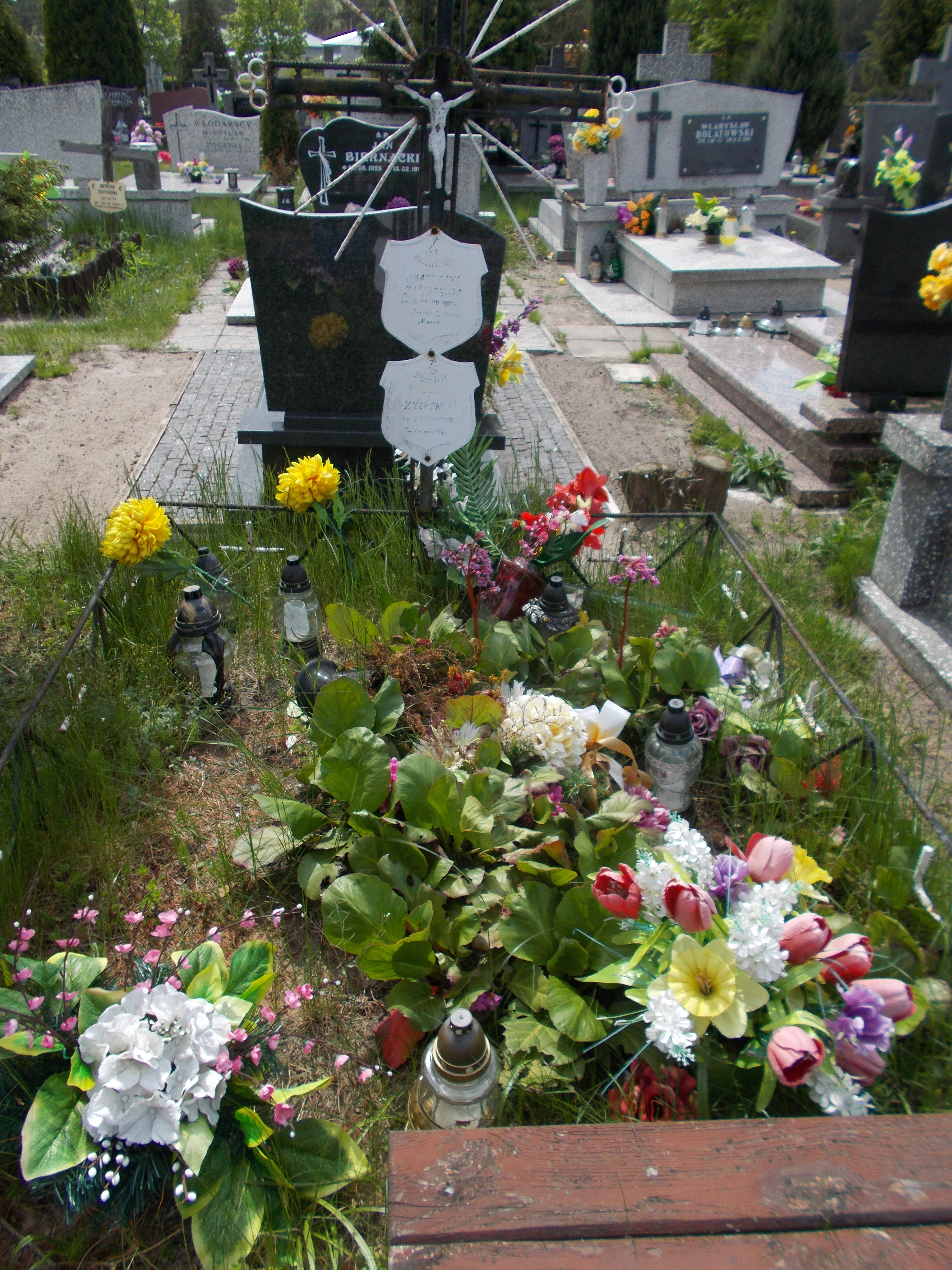 Stanisława ZIÓŁKOWSKA 1919 Włocławek 0965 - Grobonet - Wyszukiwarka osób pochowanych