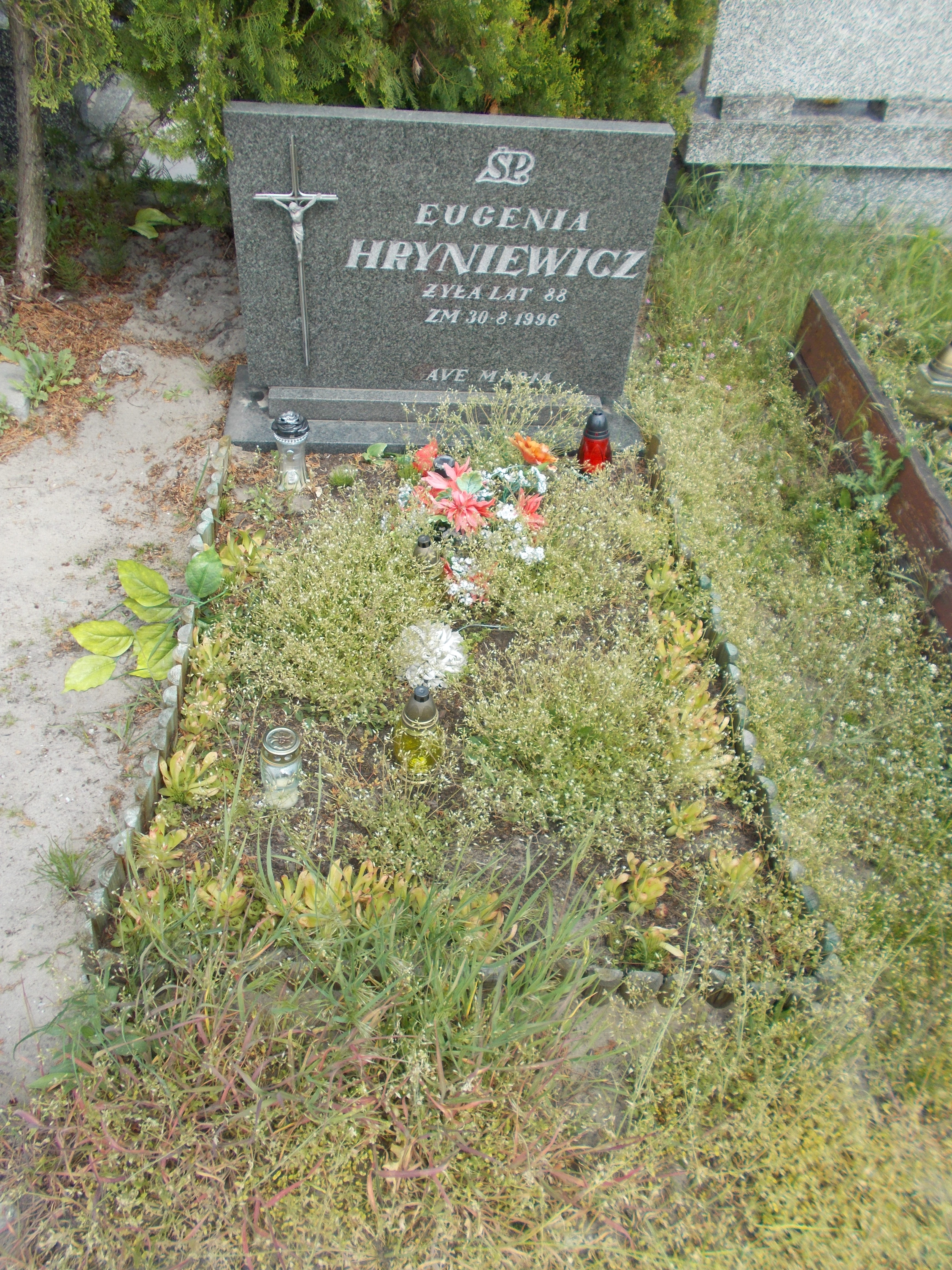 Eugenia HRYNIEWICZ 1908 Włocławek 0965 - Grobonet - Wyszukiwarka osób pochowanych