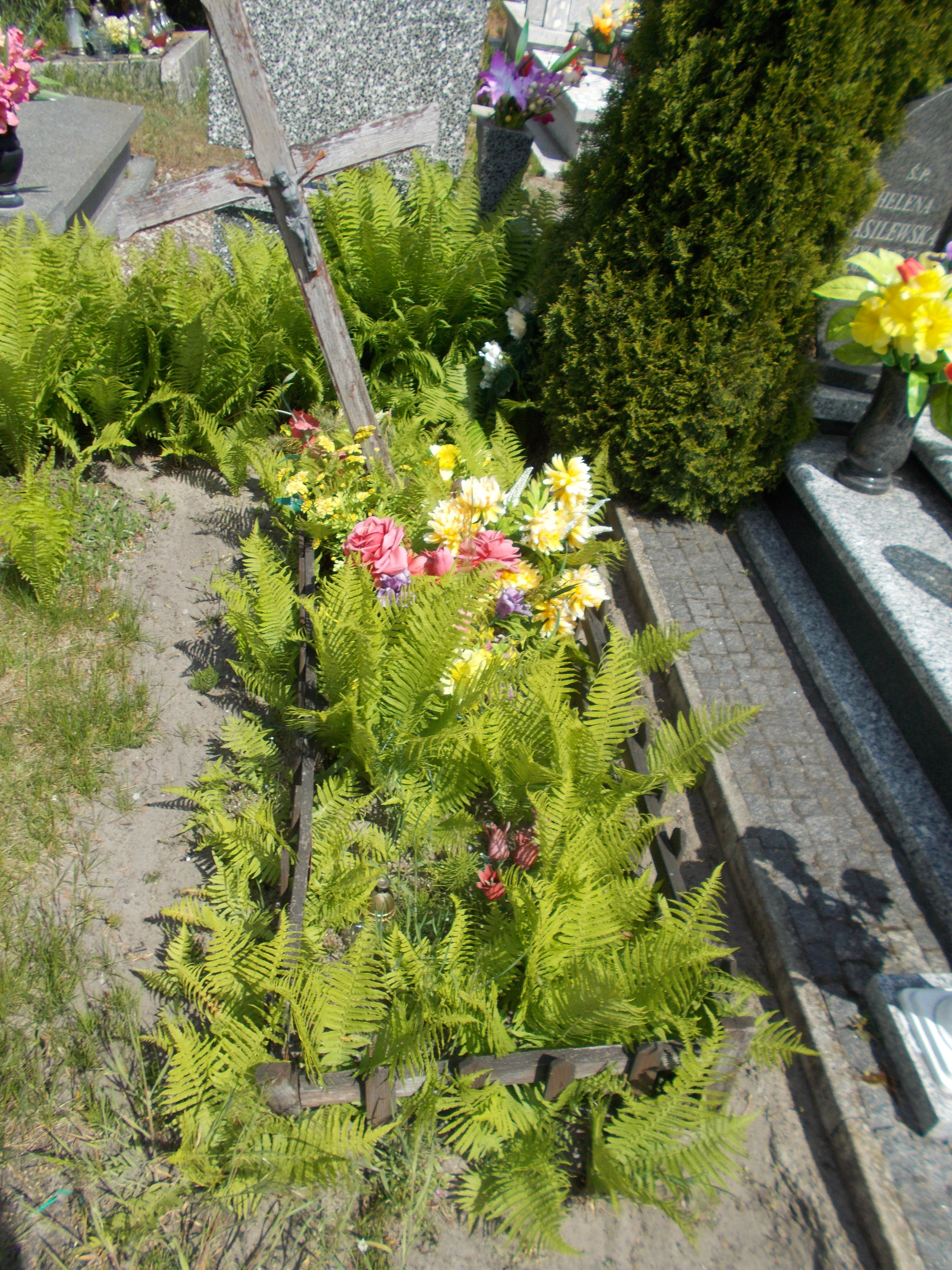 N N/ Włocławek 0965 - Grobonet - Wyszukiwarka osób pochowanych