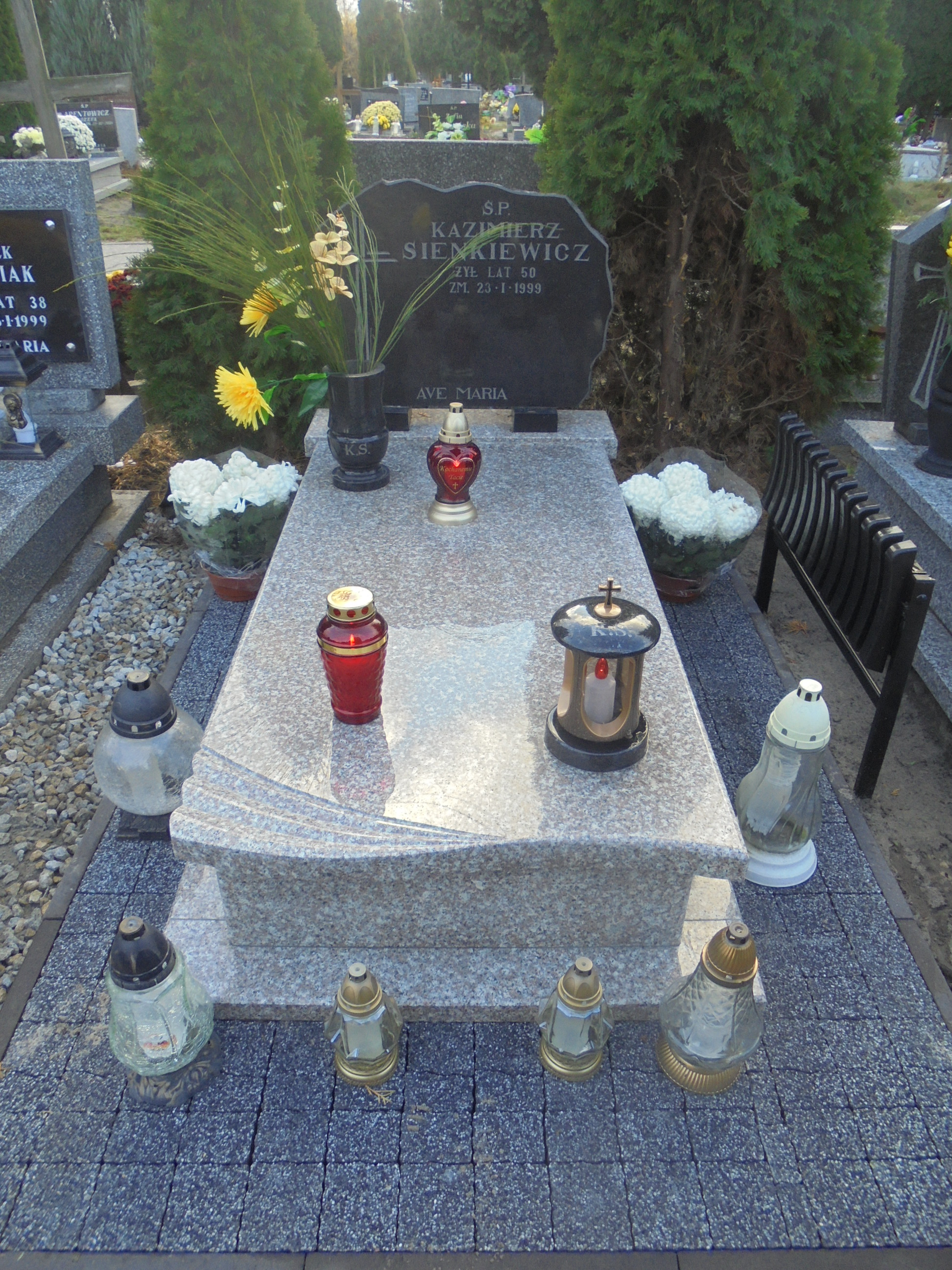 Kazimierz SIENKIEWICZ 1948 Włocławek 0965 - Grobonet - Wyszukiwarka osób pochowanych