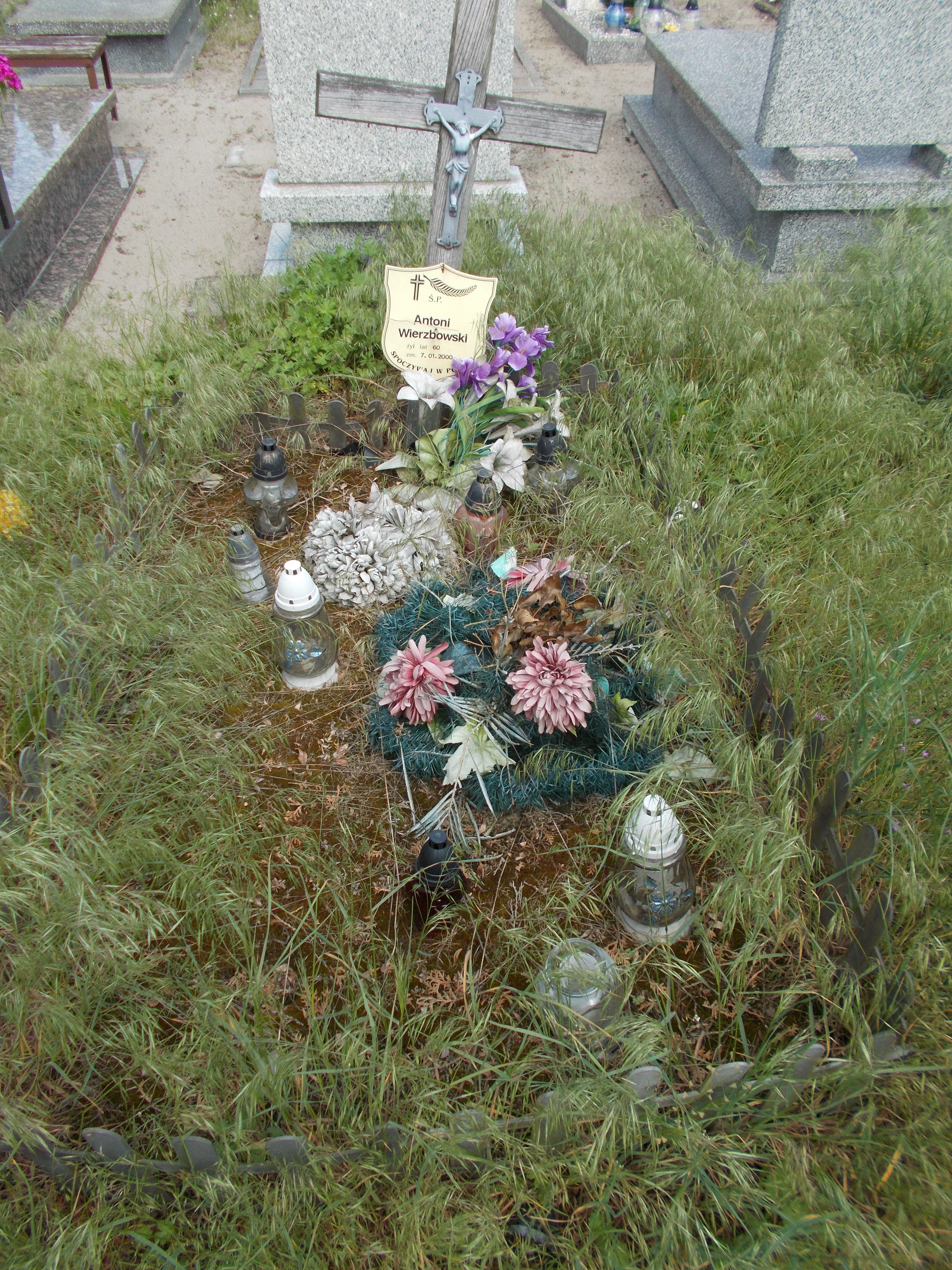 Antoni WIERZBOWSKI 1940 Włocławek 0965 - Grobonet - Wyszukiwarka osób pochowanych