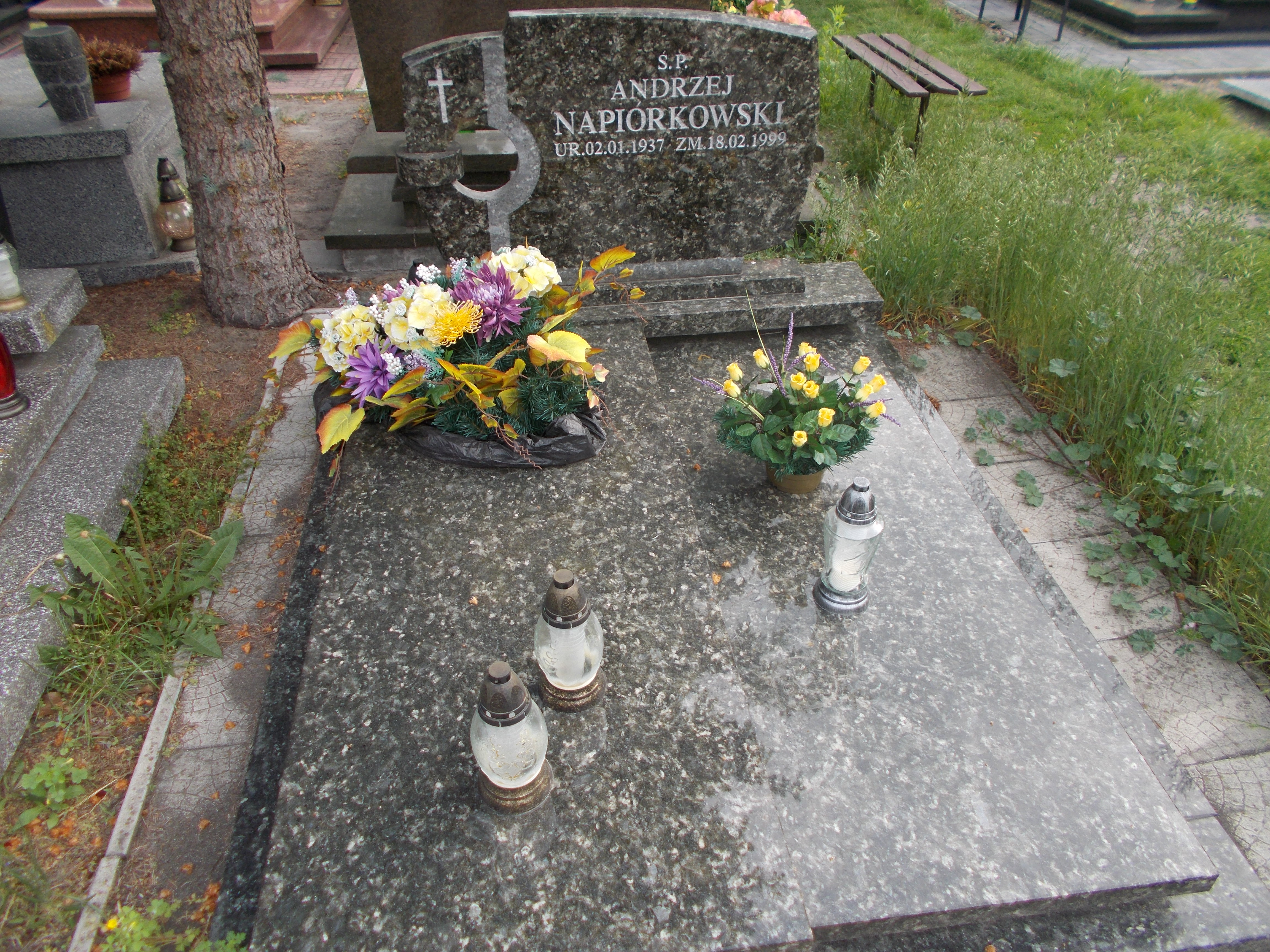 Grażyna NAPIÓRKOWSKA 1946 Włocławek 0965 - Grobonet - Wyszukiwarka osób pochowanych