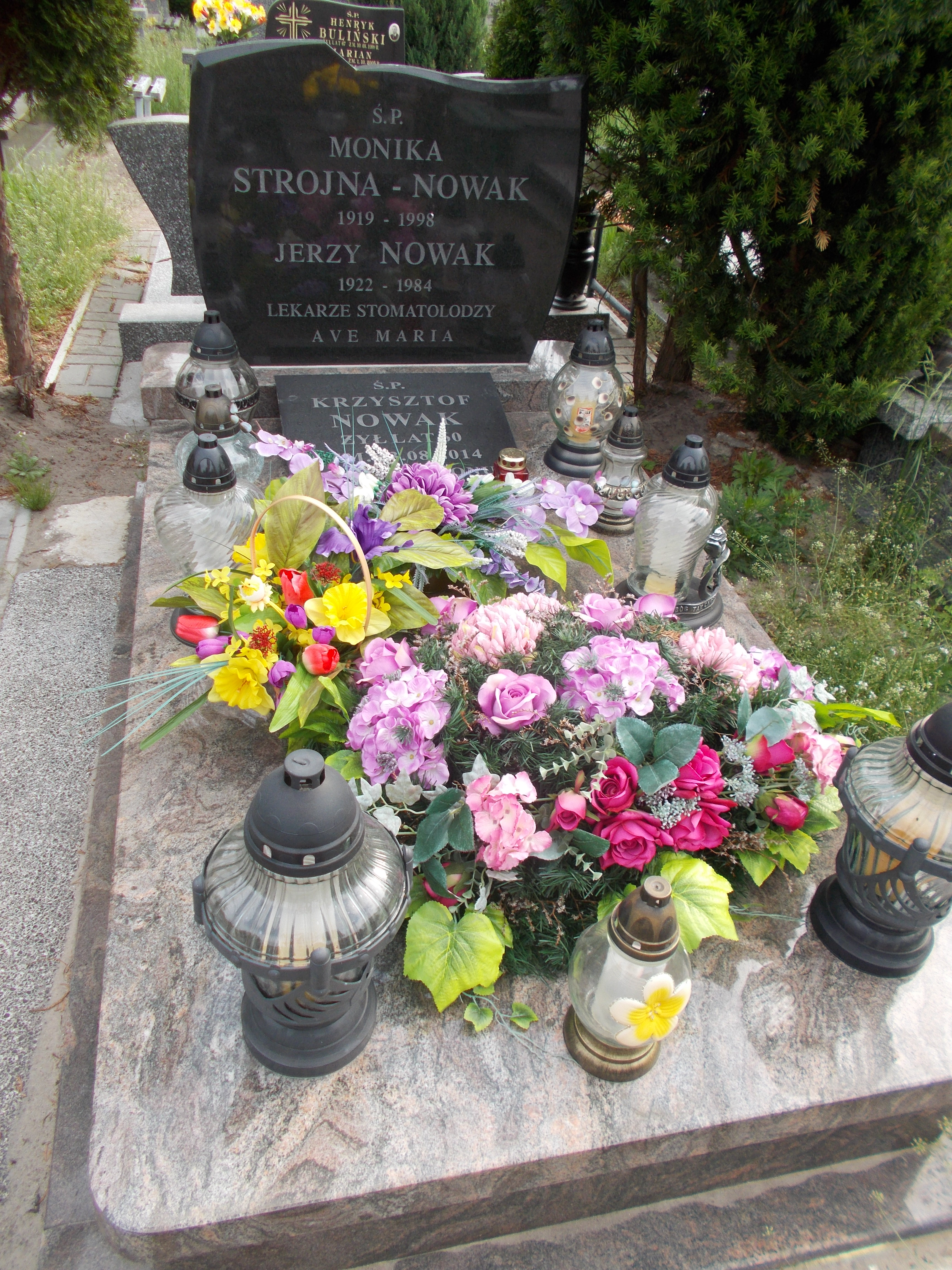 NOWAK MONIKA HELENA STROJNA 1919 Włocławek 0965 - Grobonet - Wyszukiwarka osób pochowanych